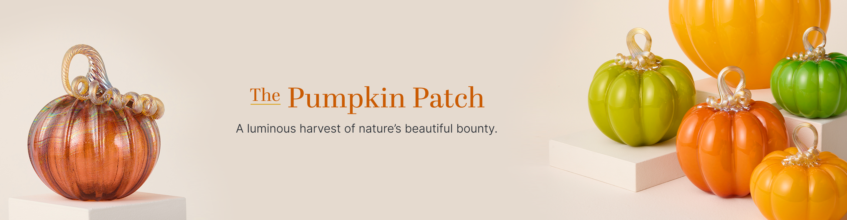Pumpkins & Gourds