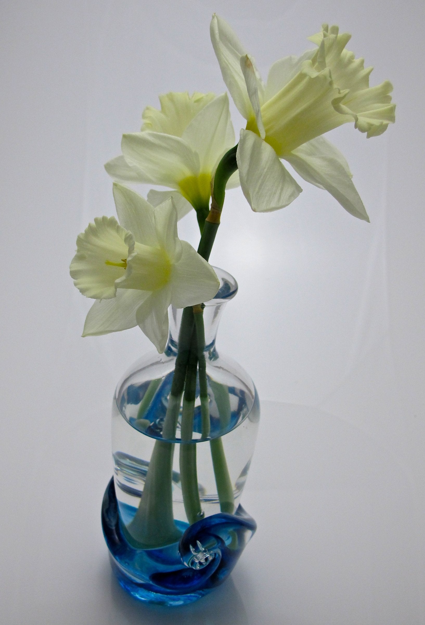 ふすい、【MESSAGE　IN　A　BOTTLE】、希少な額装用画集より ふすい、【MESSAGE IN A BOTTLE】、希少な額装用画集より