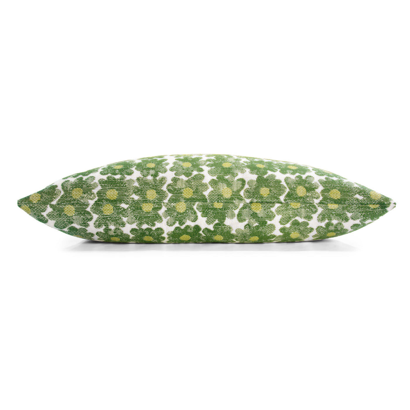 Lumbar Avocado