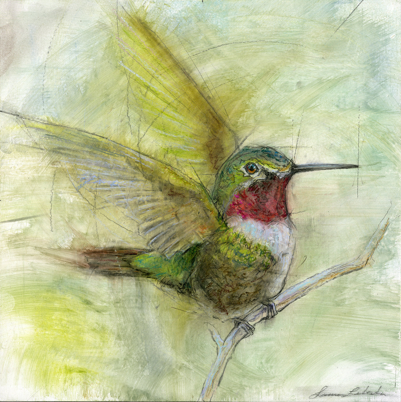 Hummingbird 001