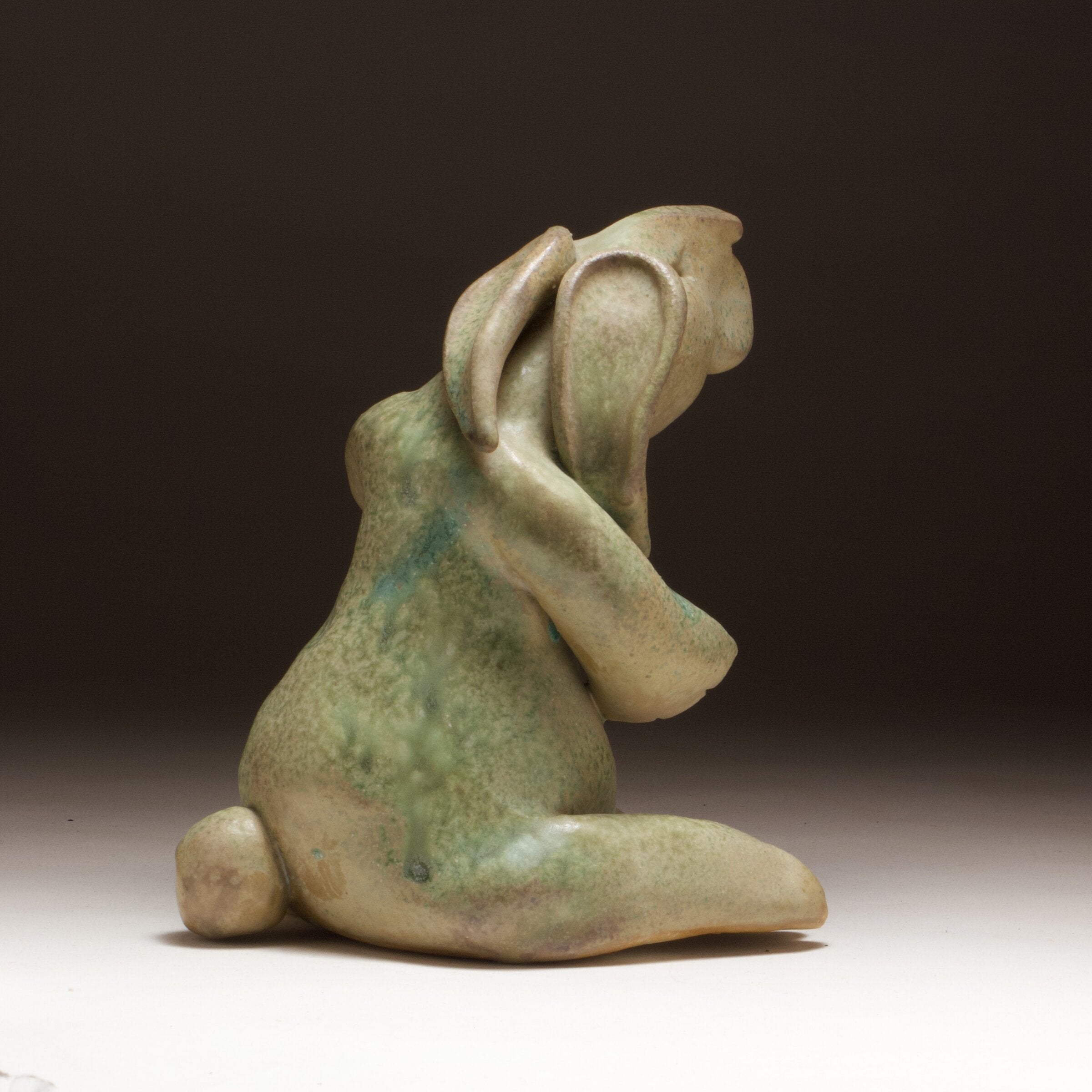 Inquisitive Bunny
