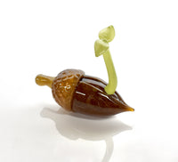 Acorn Sprout