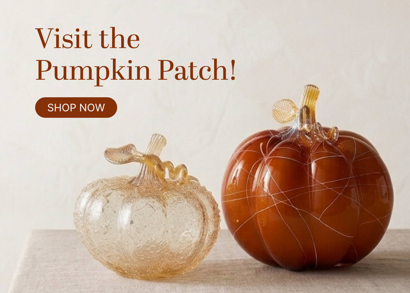 The pumpkin Patch