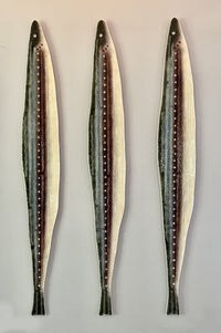 Aquaculture