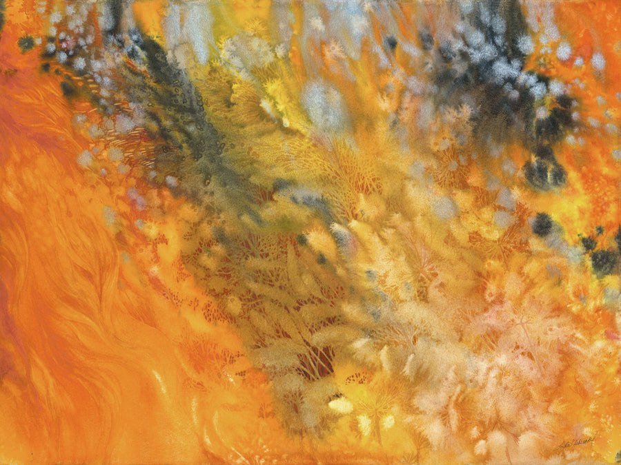 Prairie Fire Restoration III