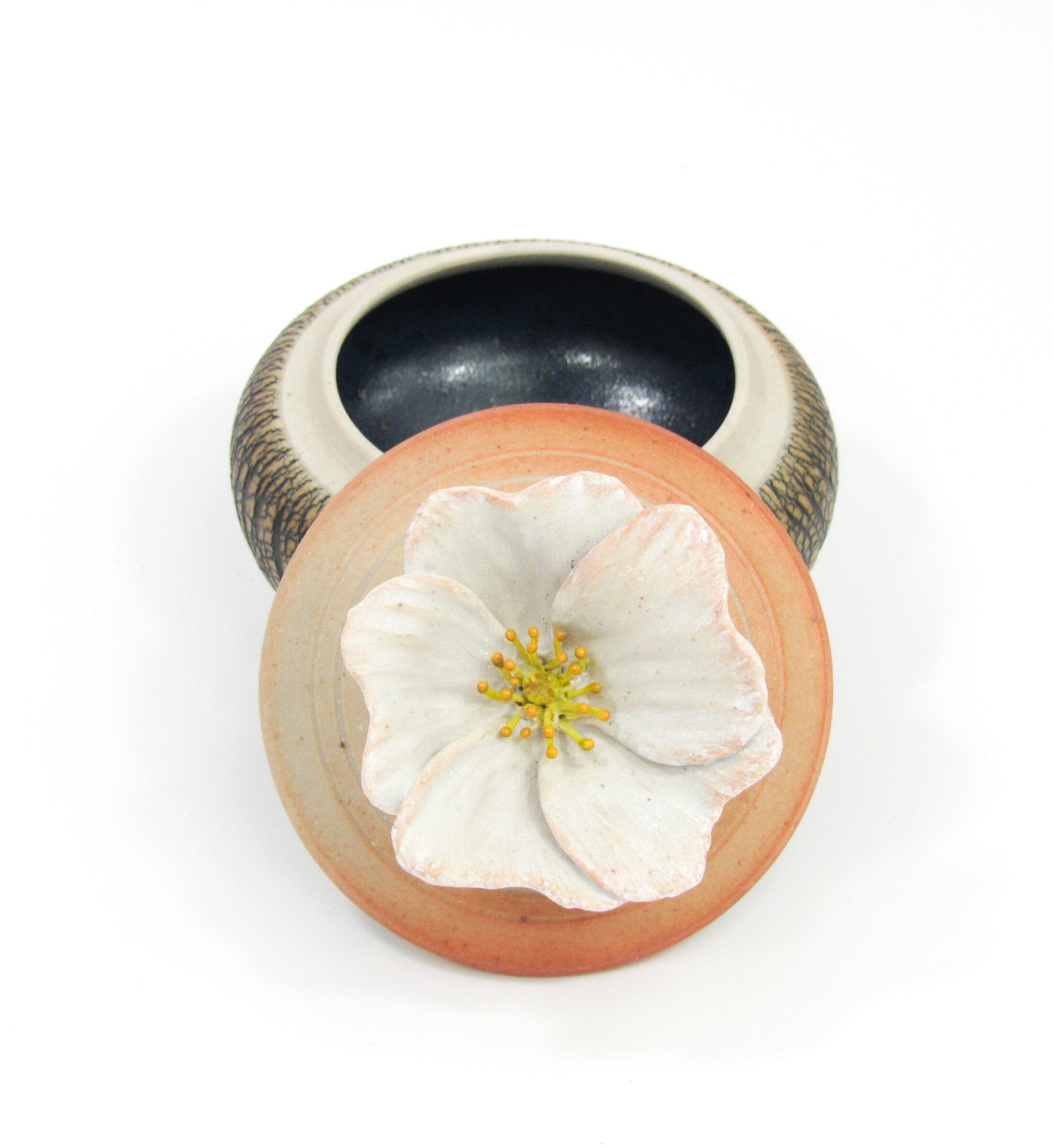 Wild Rose