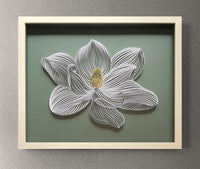 White Magnolia