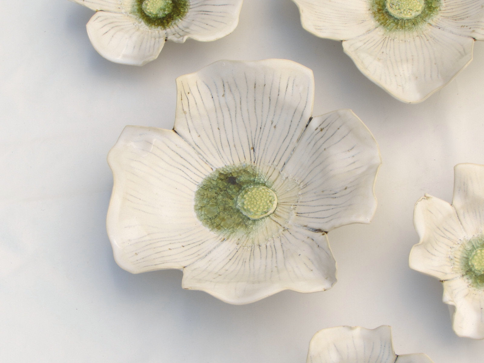 Dogwood Blossoms