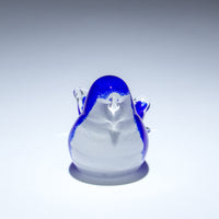 Birds of Beauty Bluebird