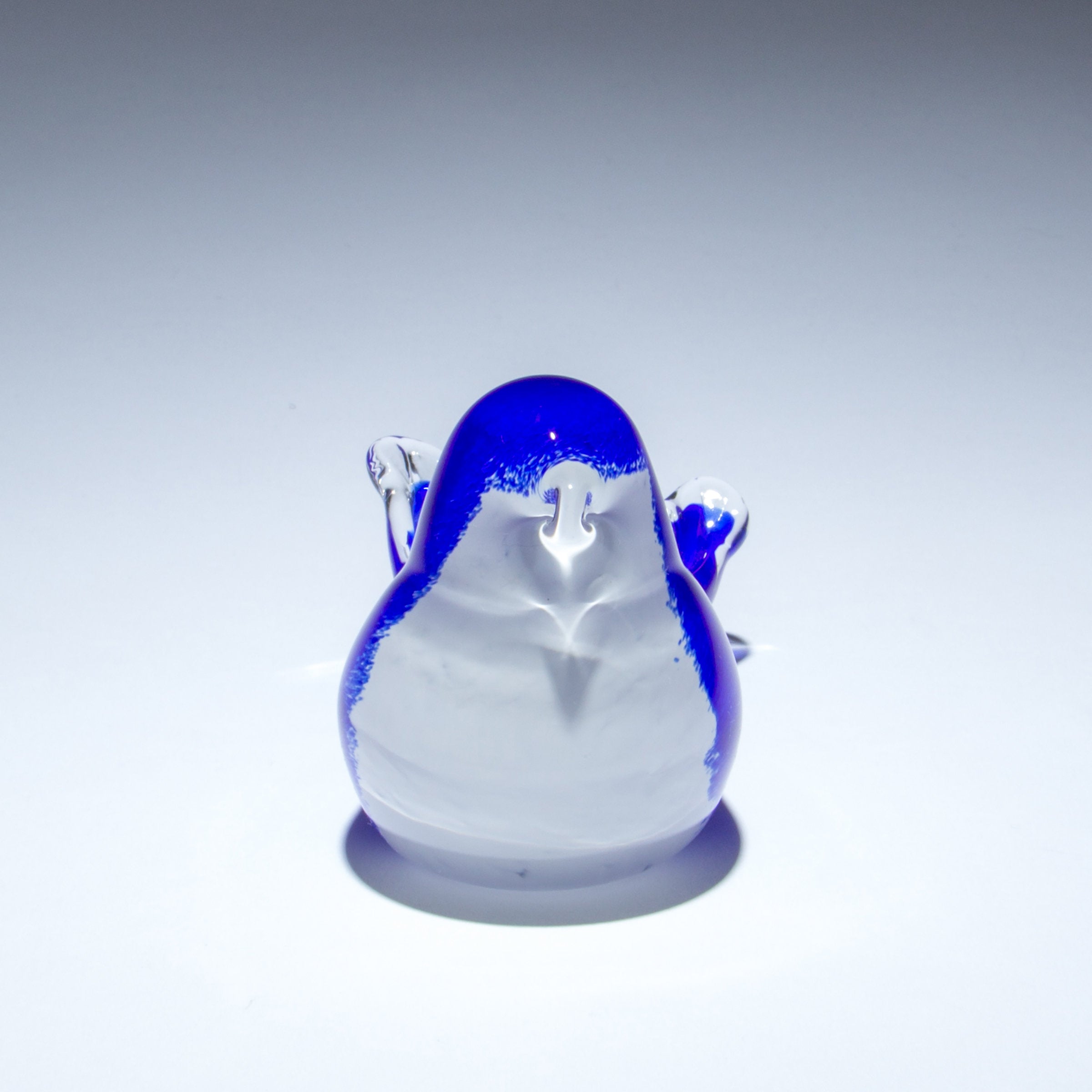 Birds of Beauty Bluebird