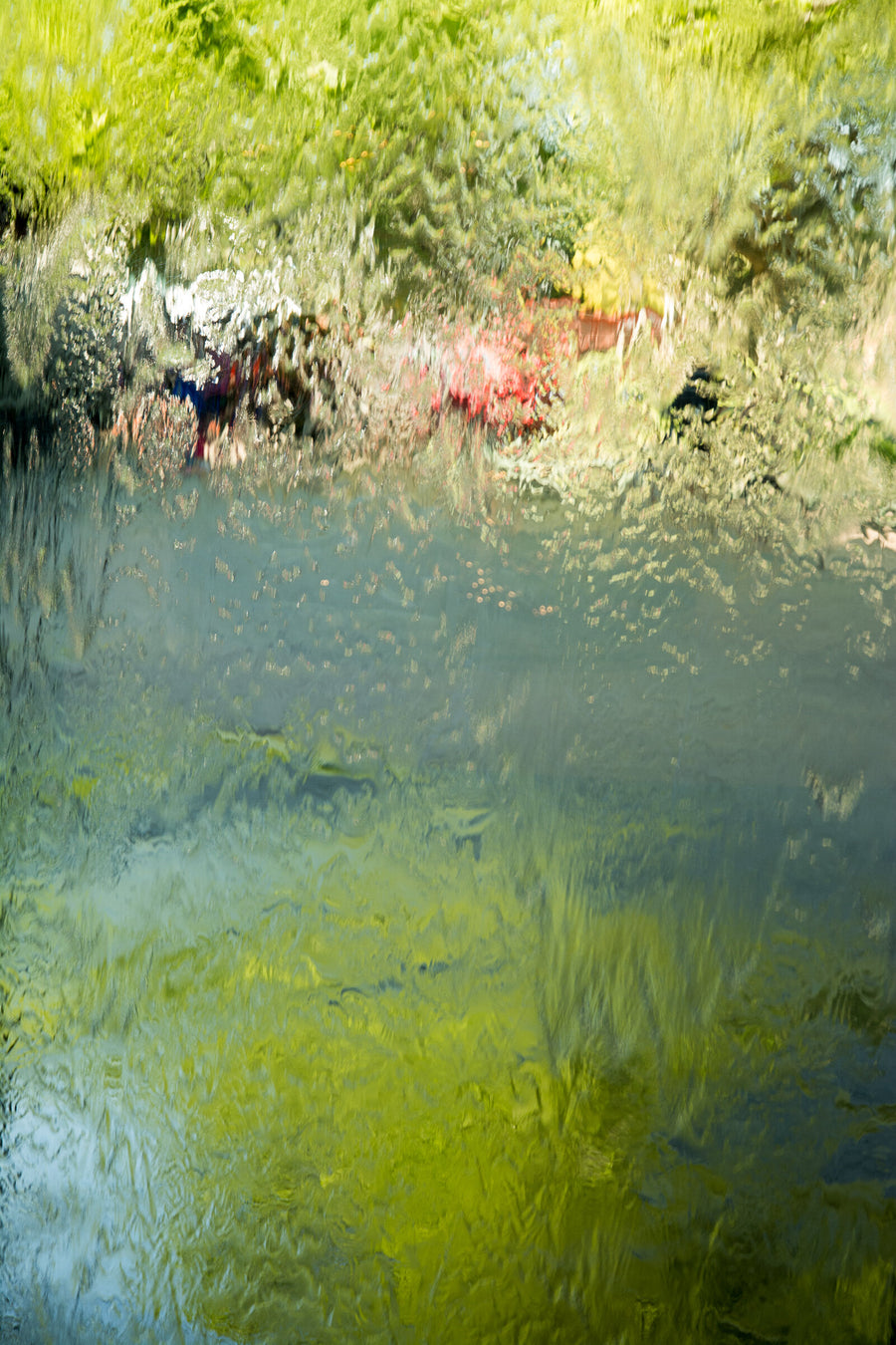 Green Abstract | Photo by Cindy A Stephens