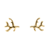 Coral Branch Stud Earrings