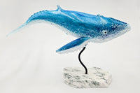 Cetacea, Northbound