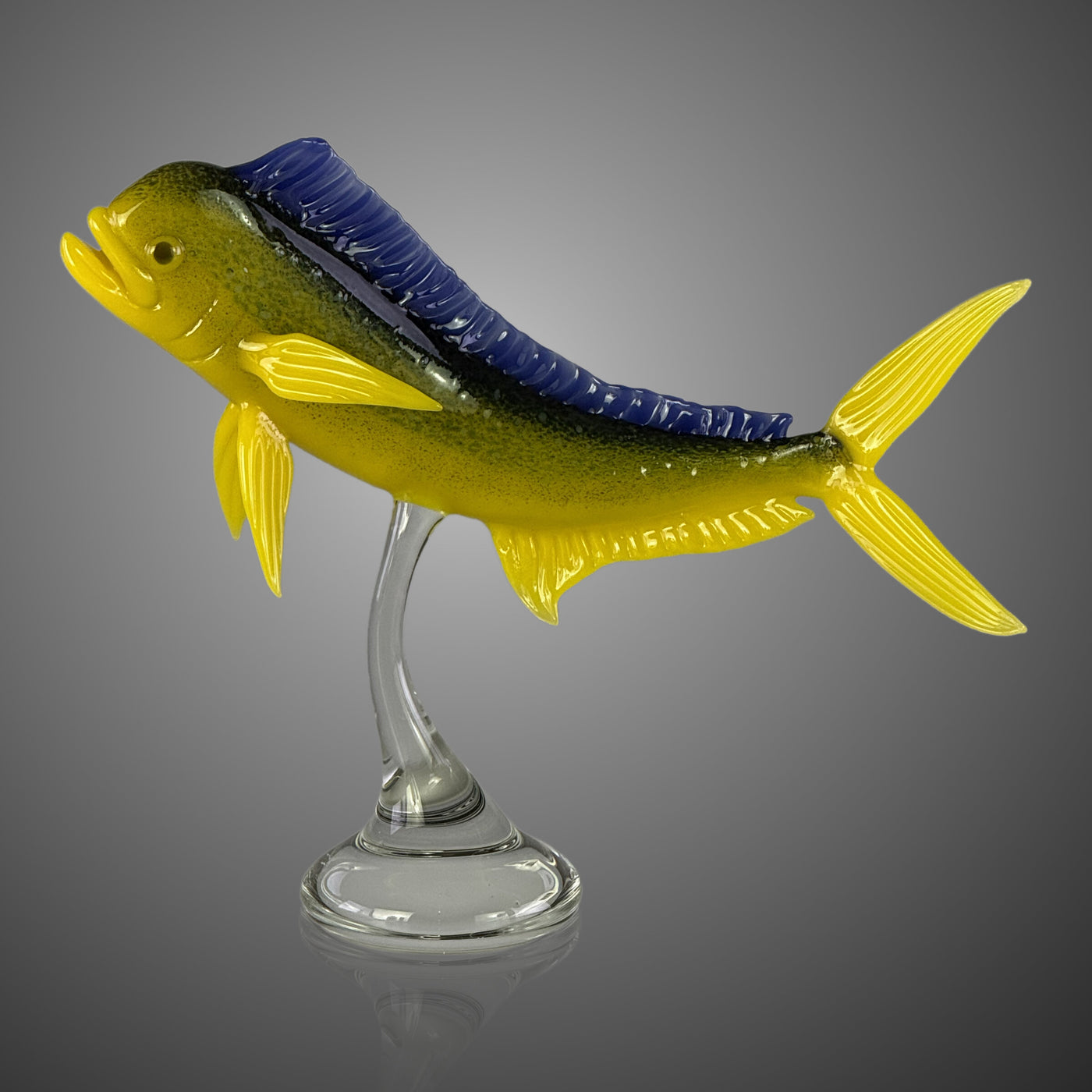 Mahi-mahi
