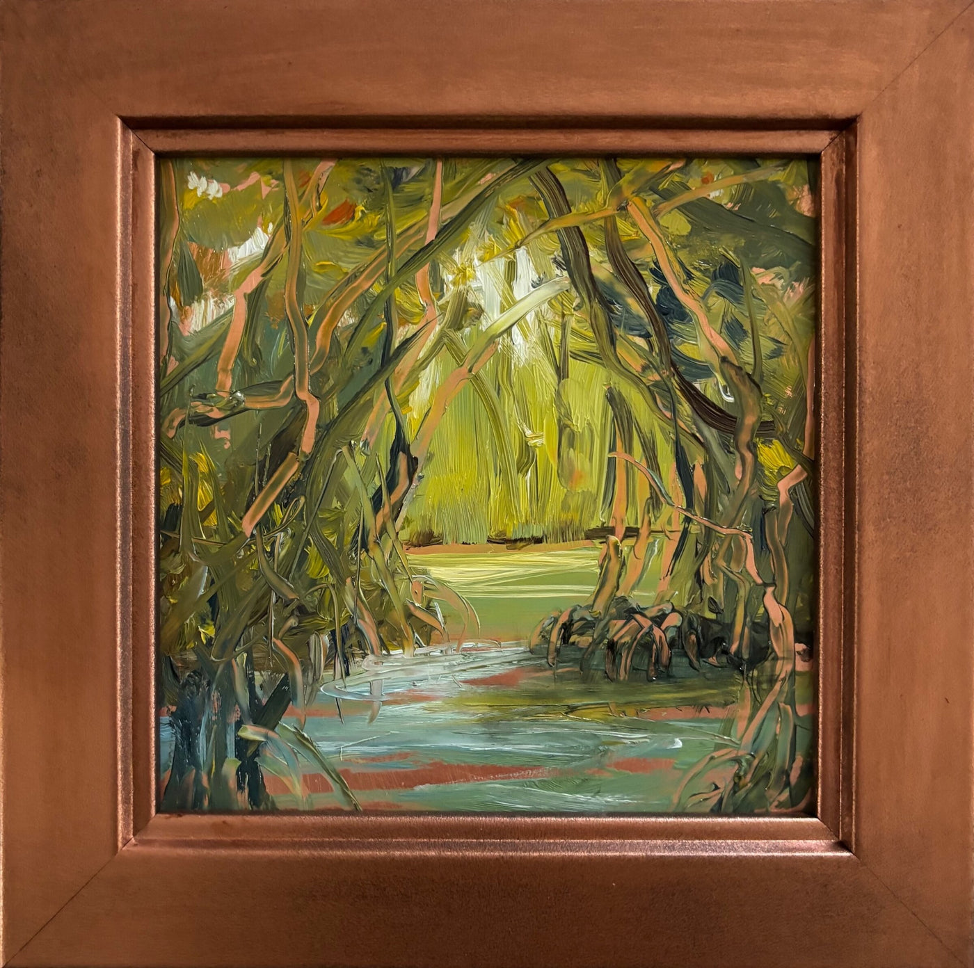 Meandering Through the Mangroves