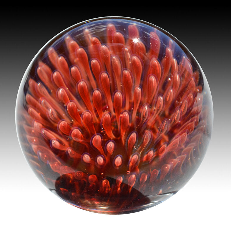 Anemone Marble