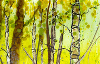 Quiet Sunrise (Illuminated)