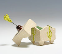 Cactus Box