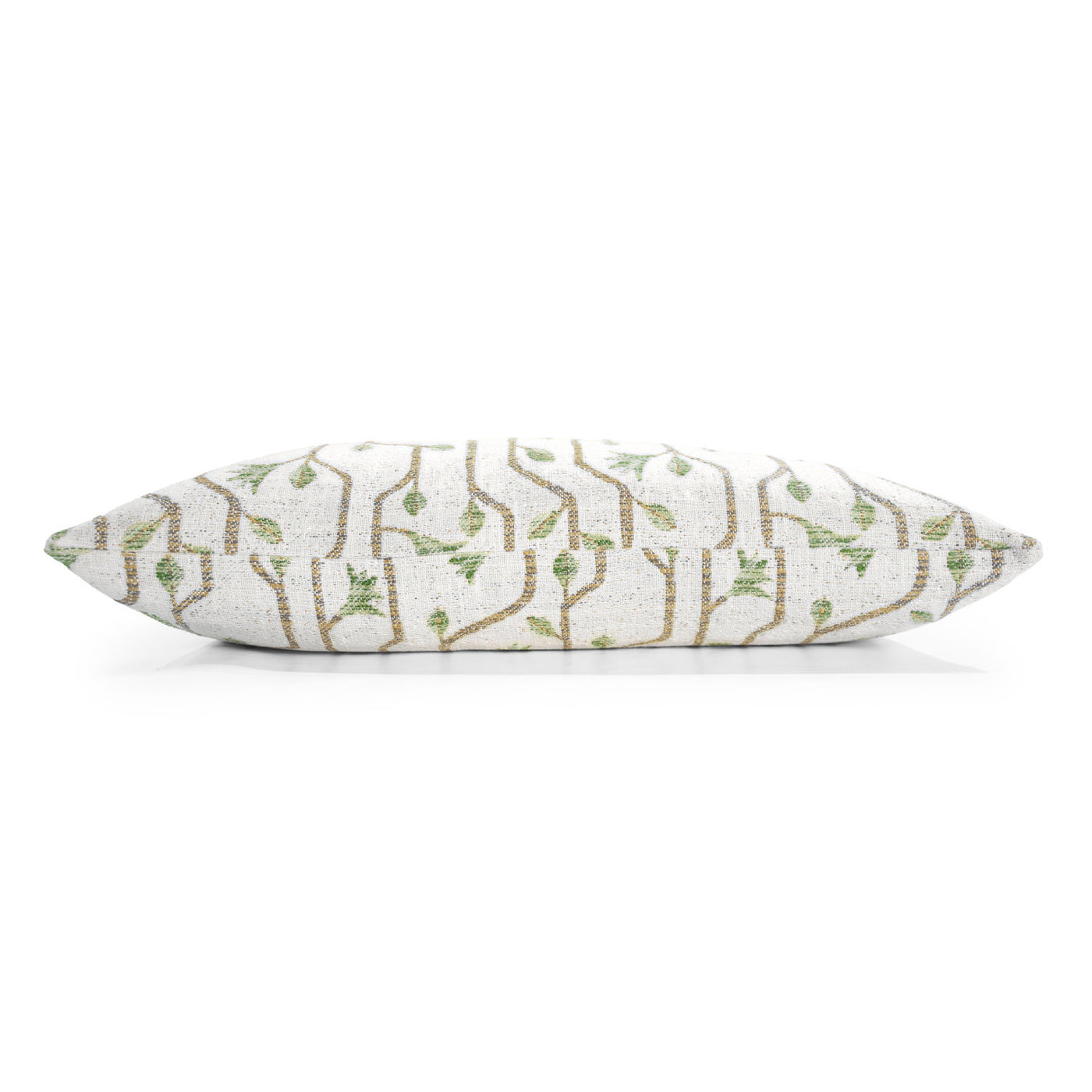Lumbar Avocado