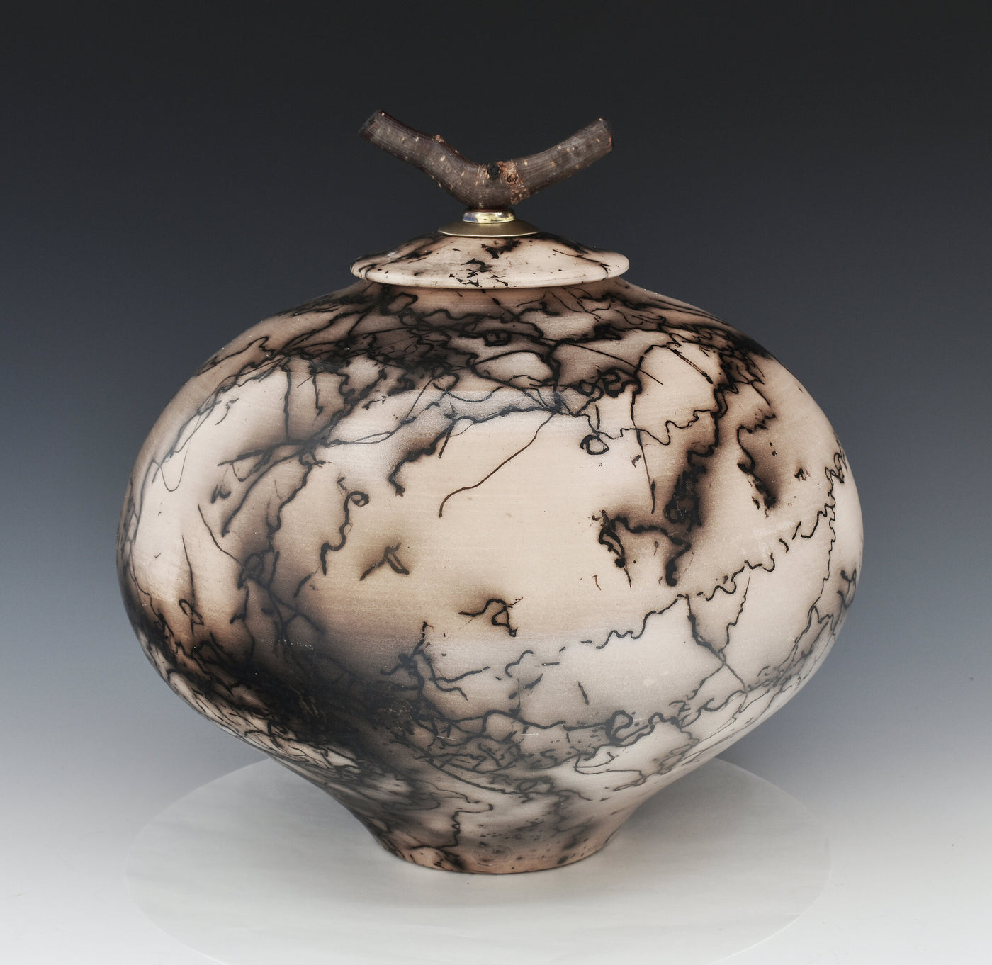Horsehair Raku Stoneware Jar with Driftwood