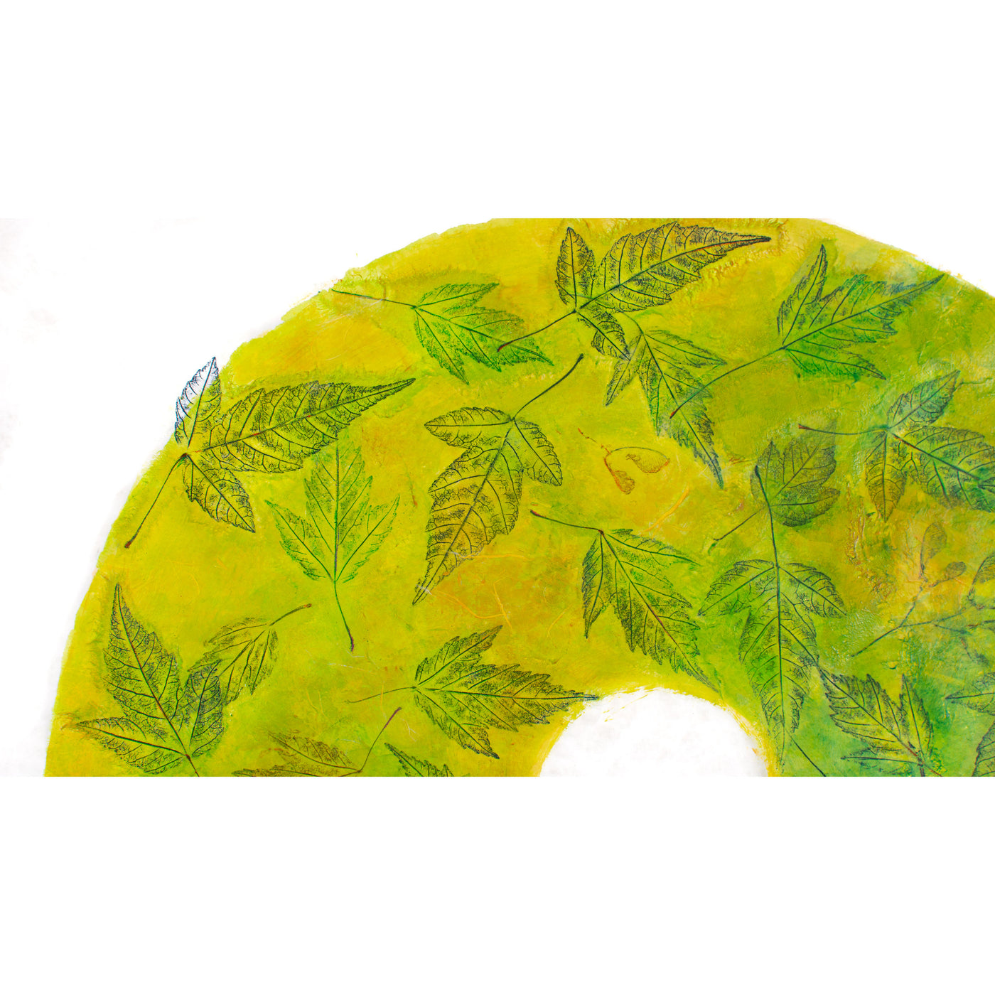 Respirations: Amur Maple