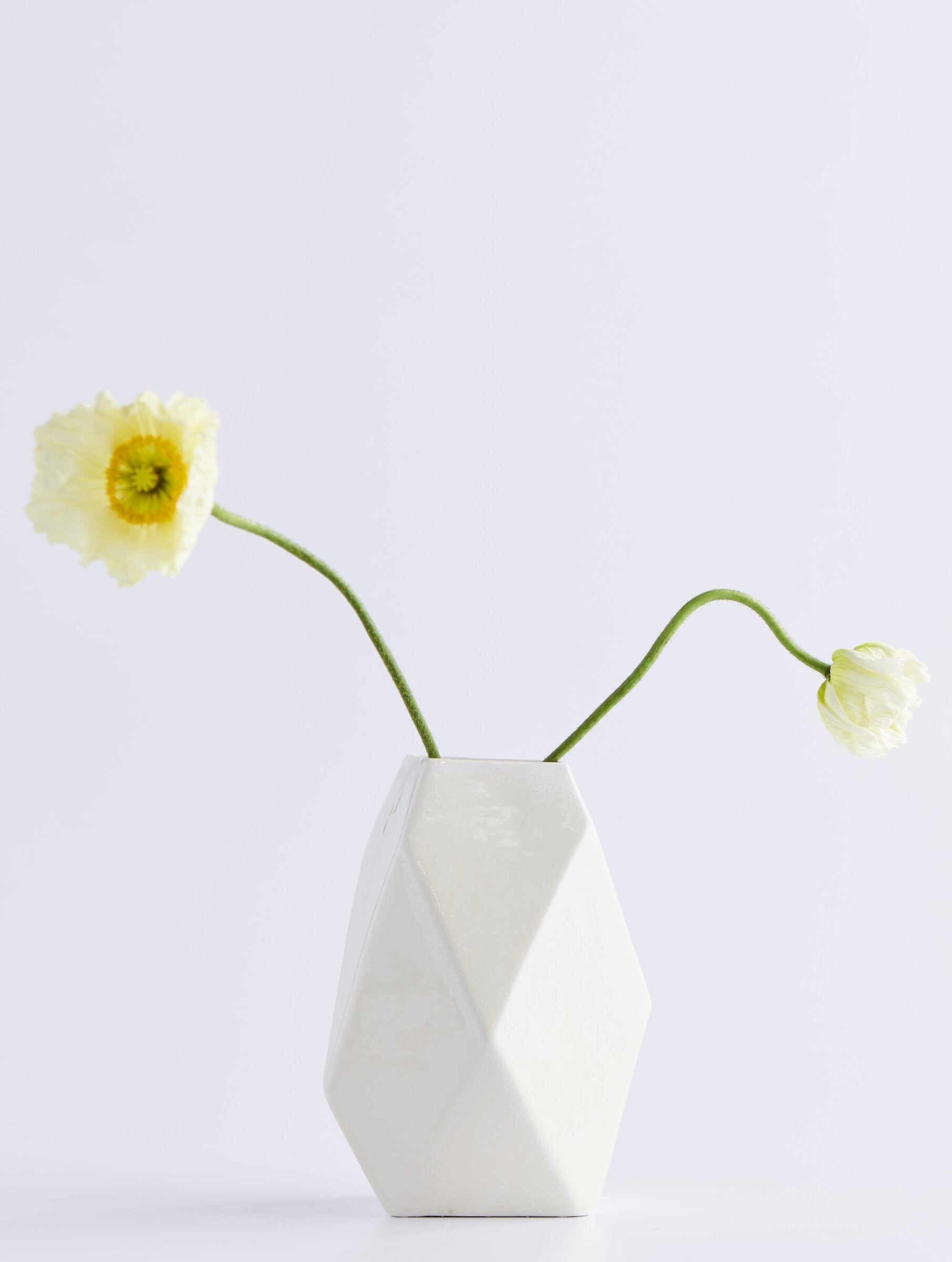 Frost white, medium