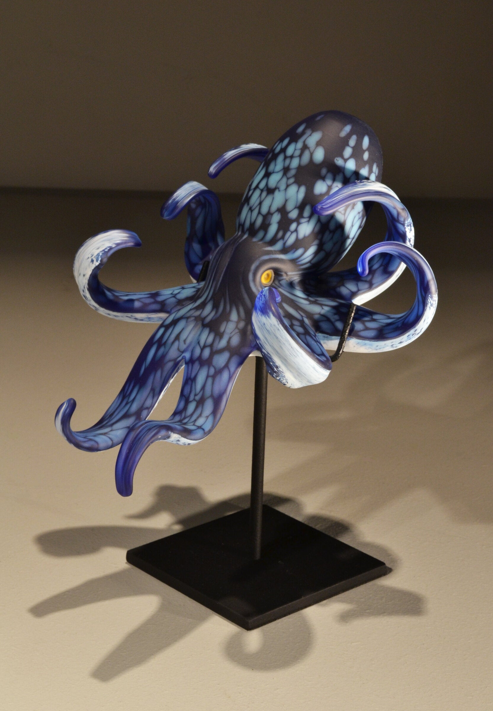 Dark Blue Octopus