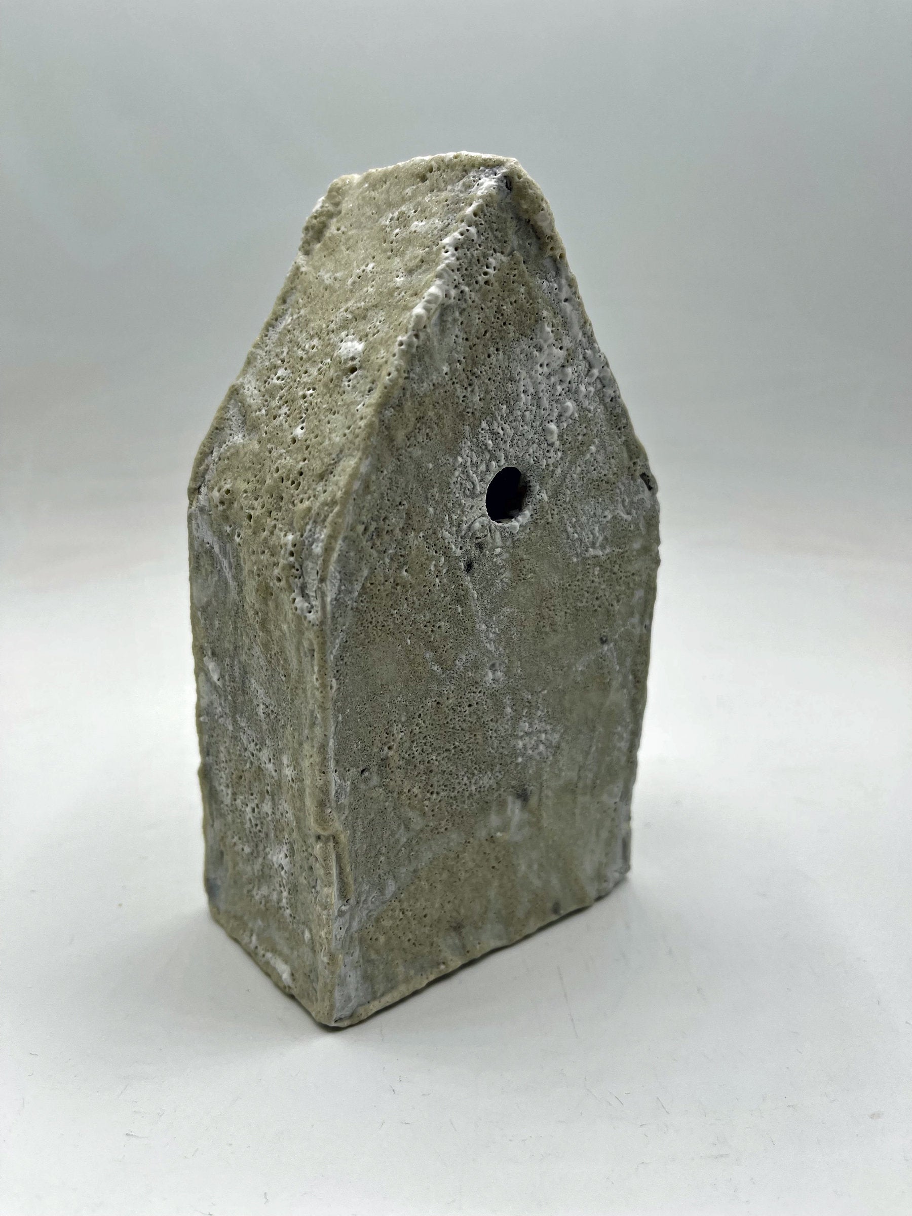 back view