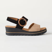 Caramel/Black