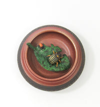 Potato Beetle with Larvae