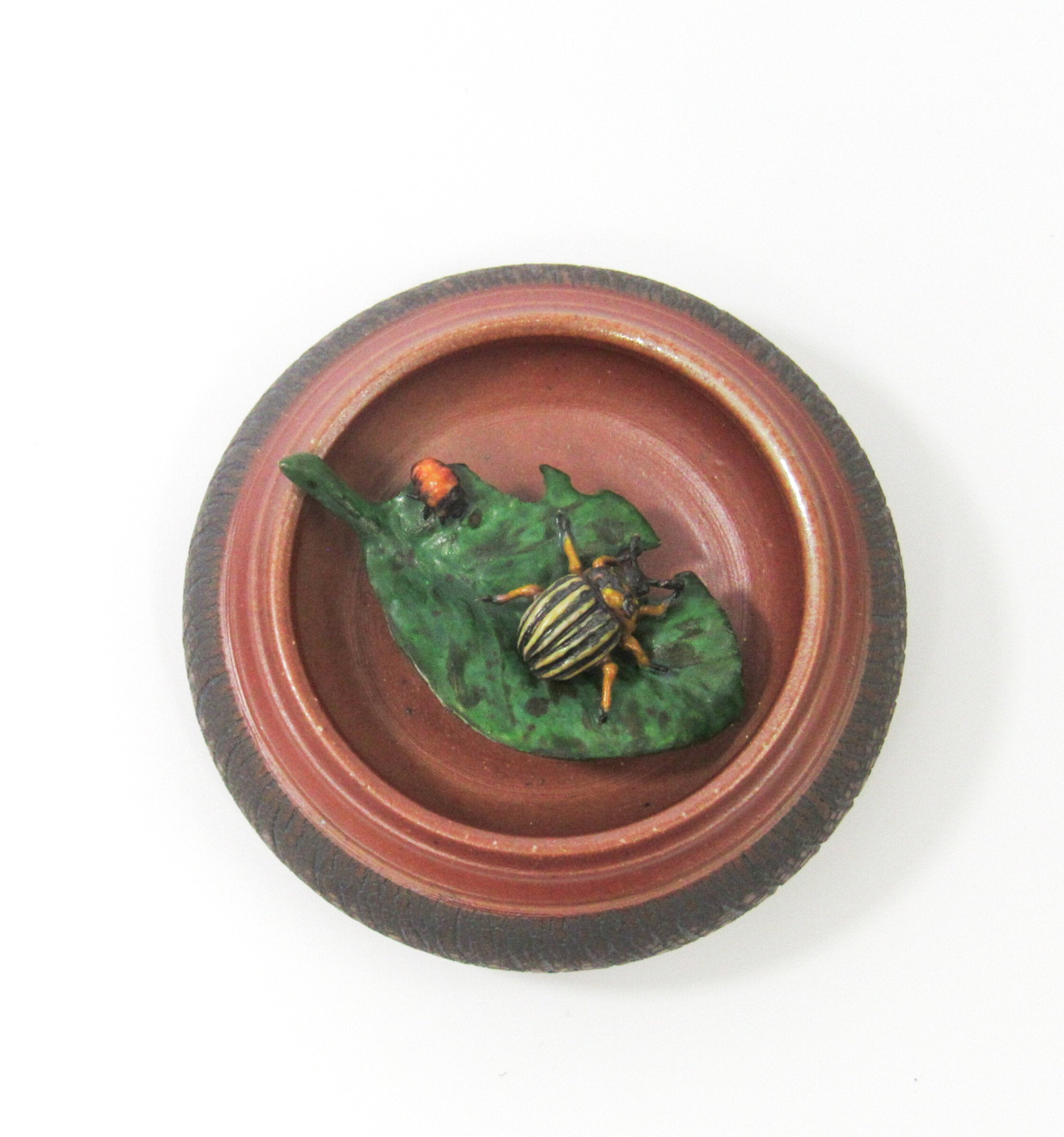 Potato Beetle with Larvae