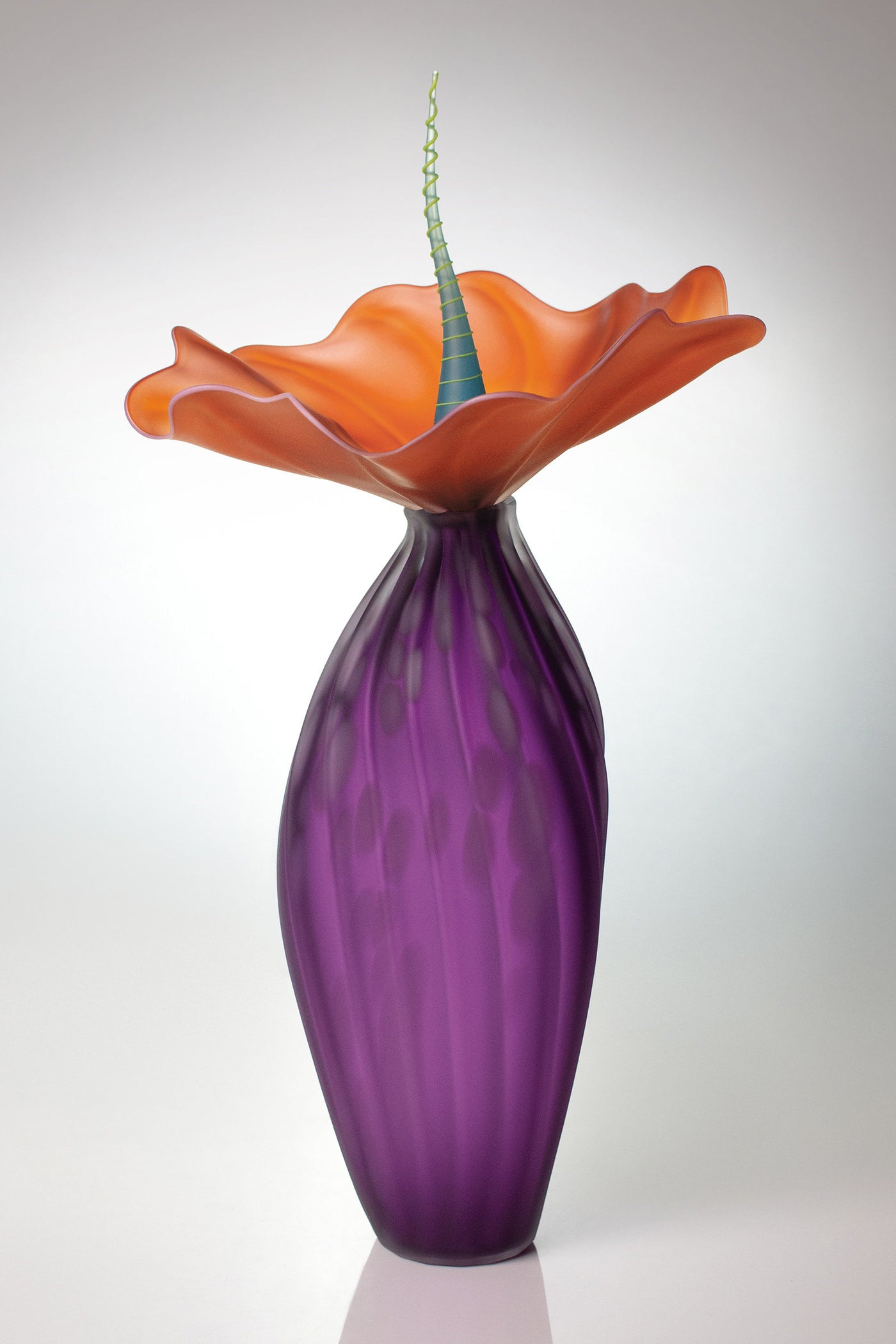 tall plum hyacinth