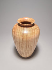 Timeless Forms