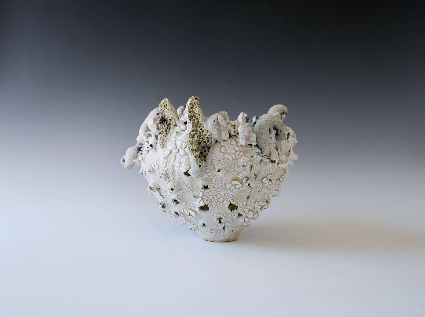 Salt Flower of the Moon Vessel