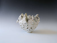 Salt Flower of the Moon Vessel