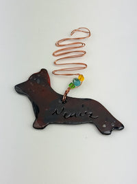Dachshund I