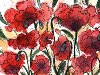 Red Poppies
