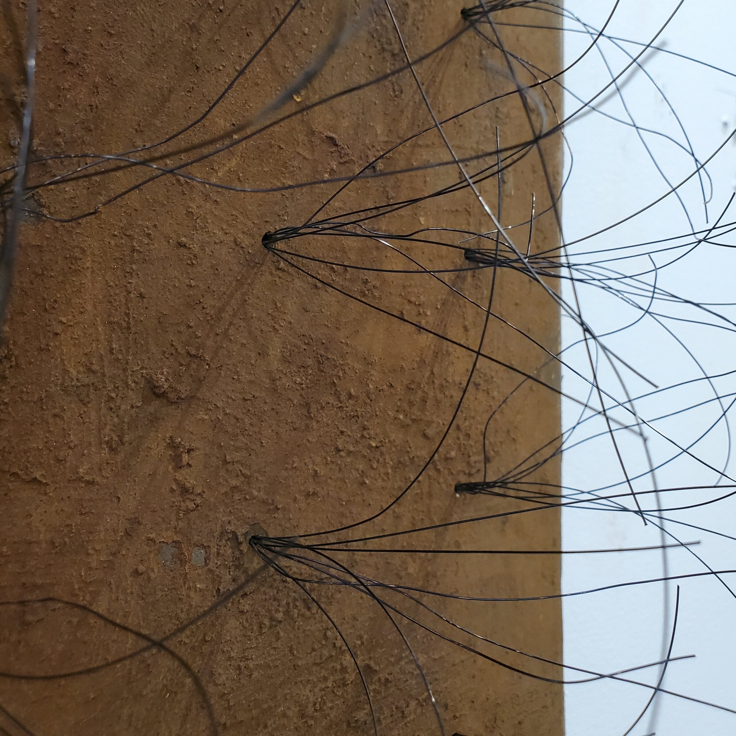 Rust with Wire
