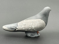 Pigeon Looking Left
