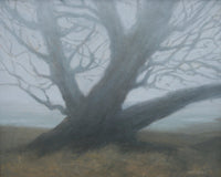 Sea Mist