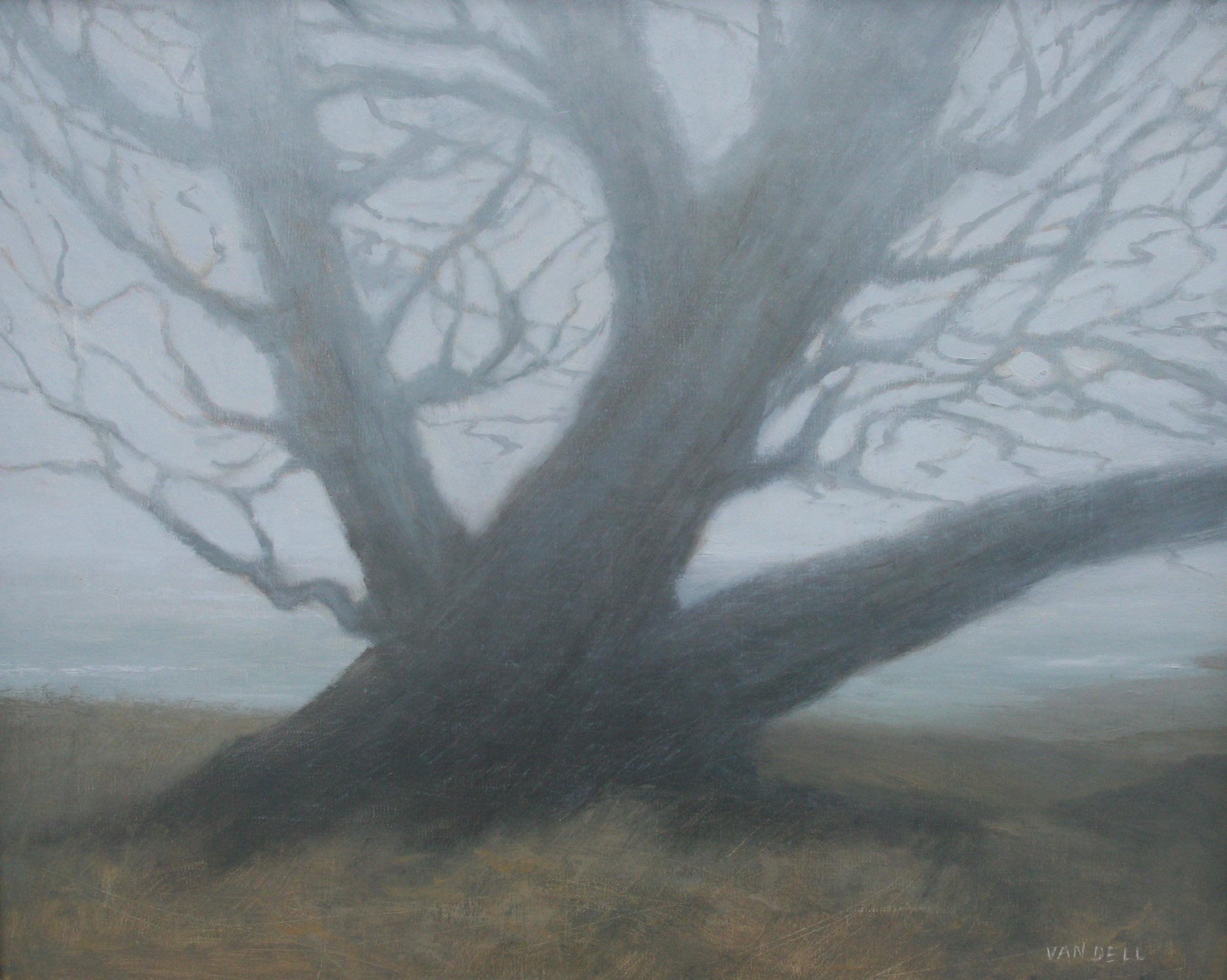 Sea Mist
