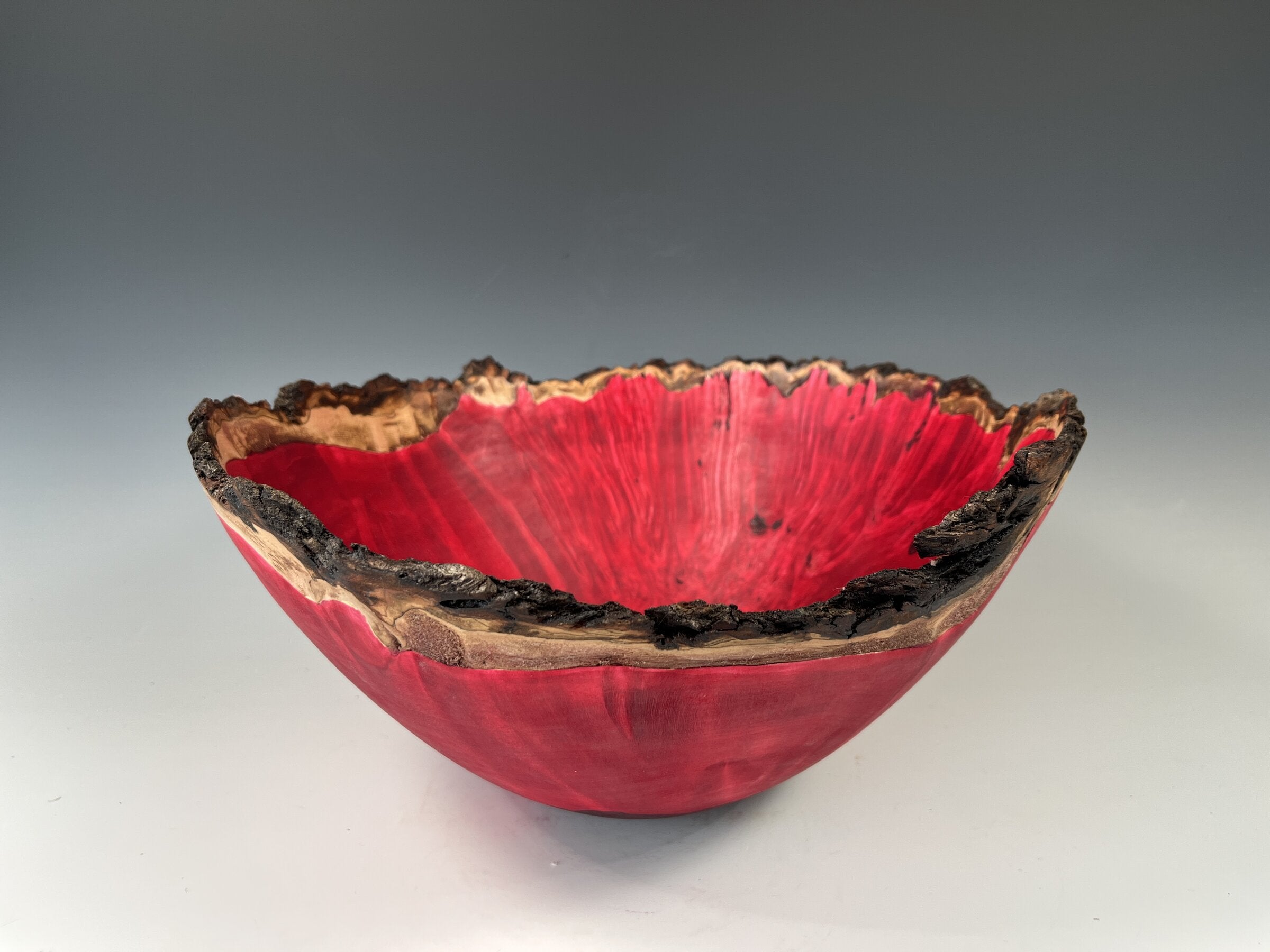 Natural Edge Maple Burl in Red II