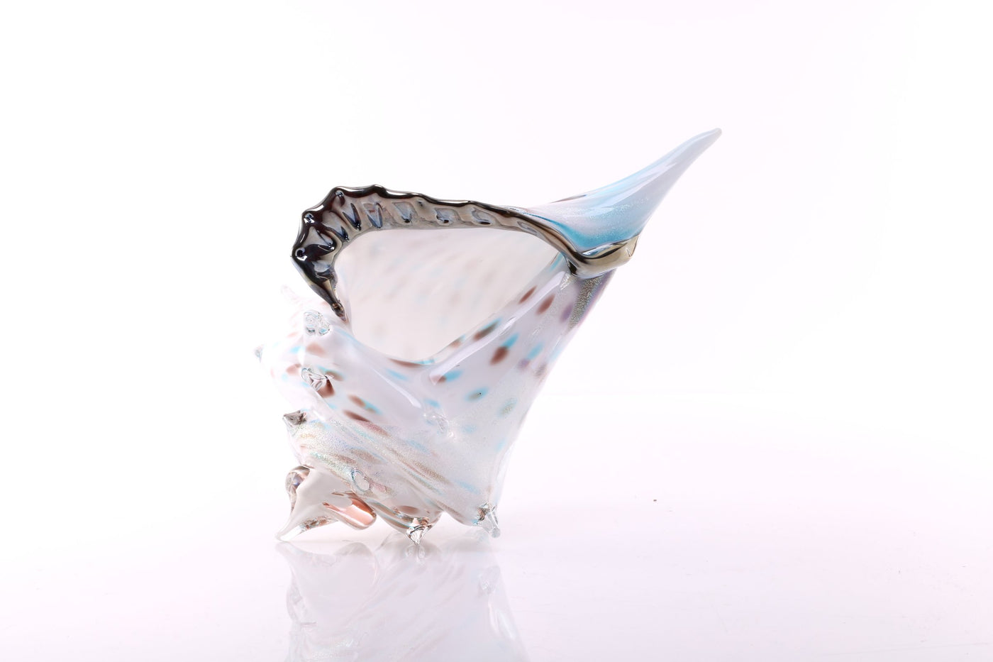 Atlantis Sea Shell