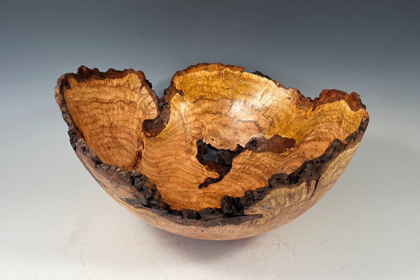 Natural Edge Cherry Burl V