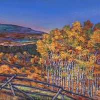 Aspen View