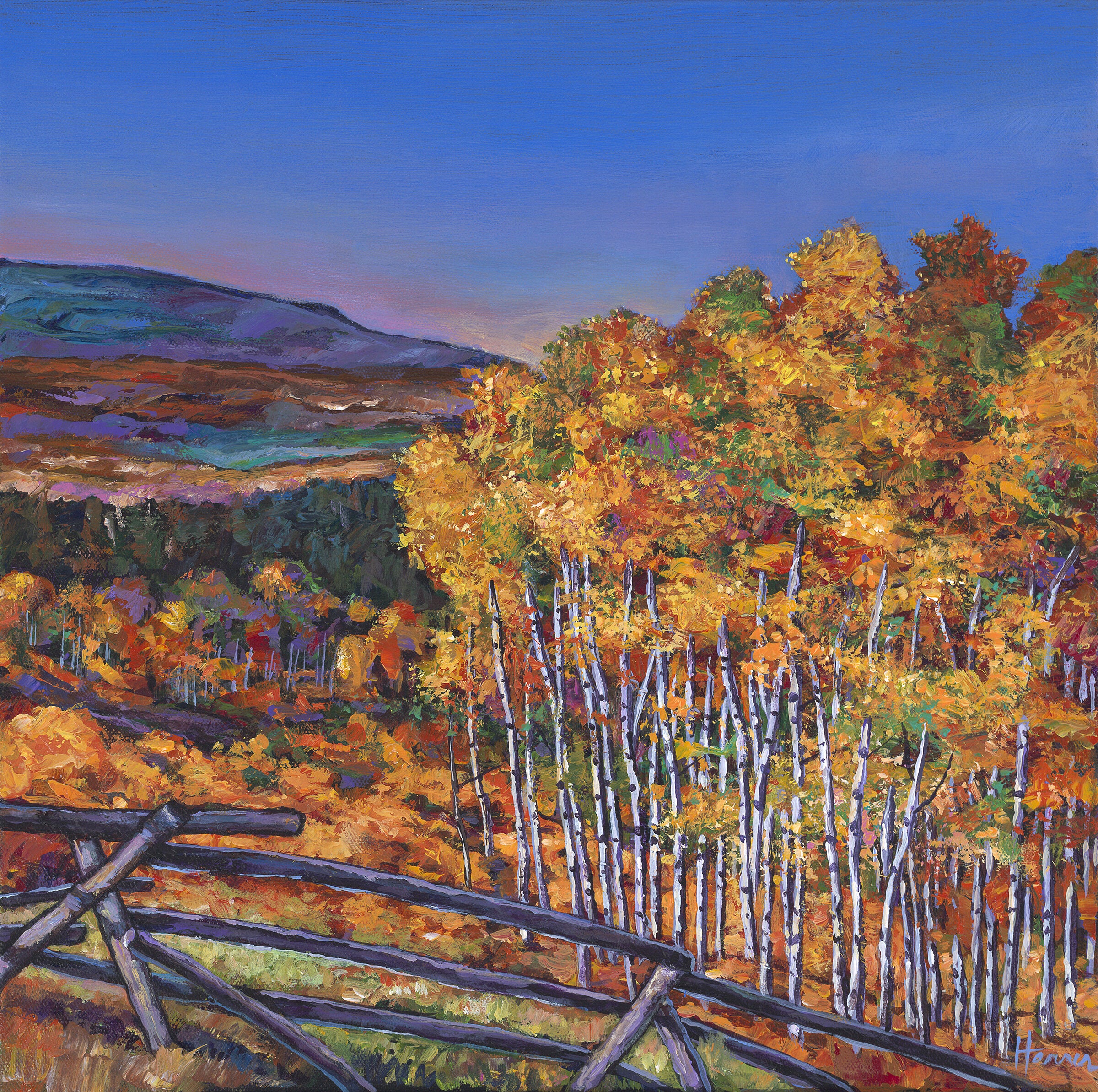 Aspen View