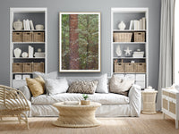 Pine and Dogwood