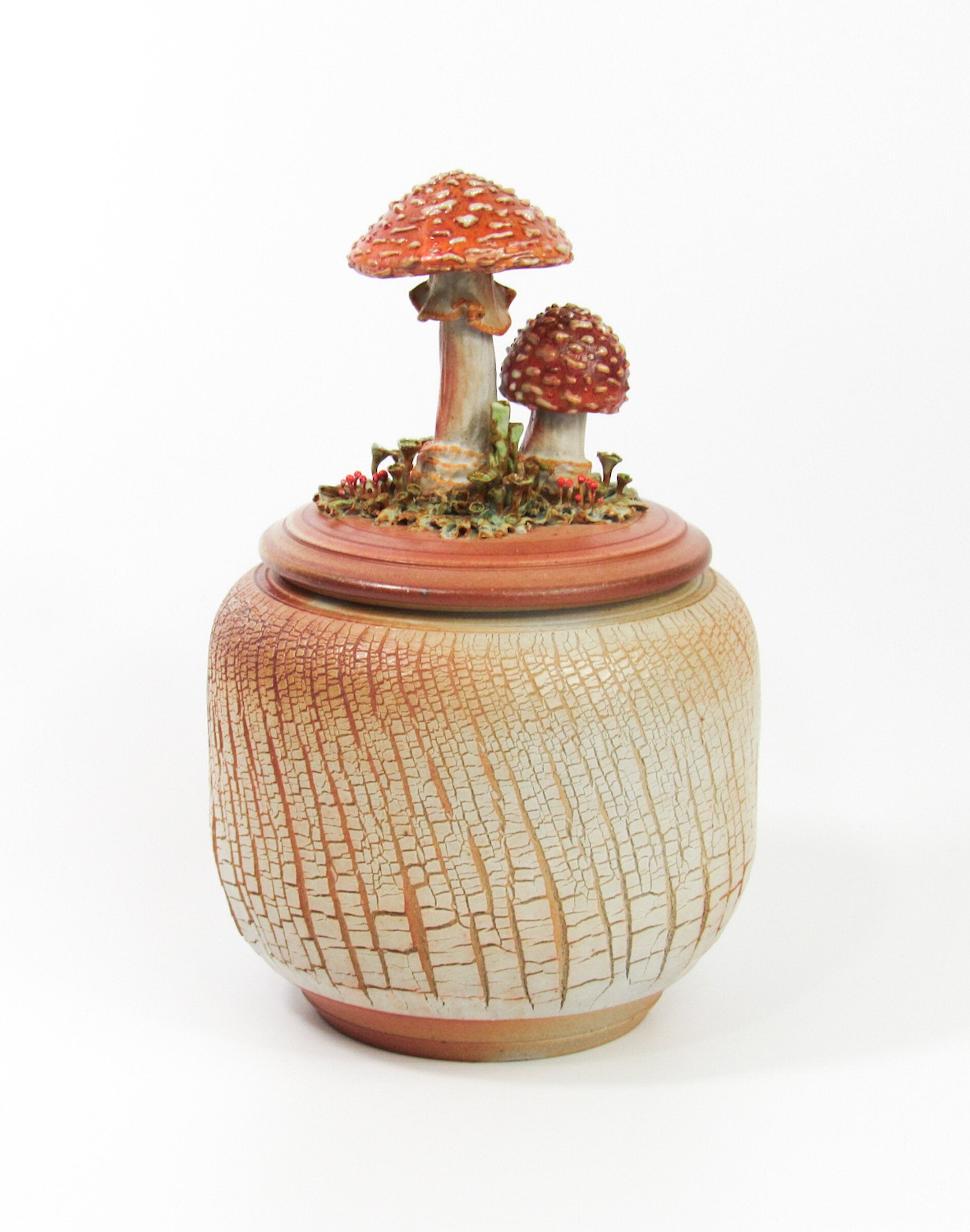 Amanita Muscaria