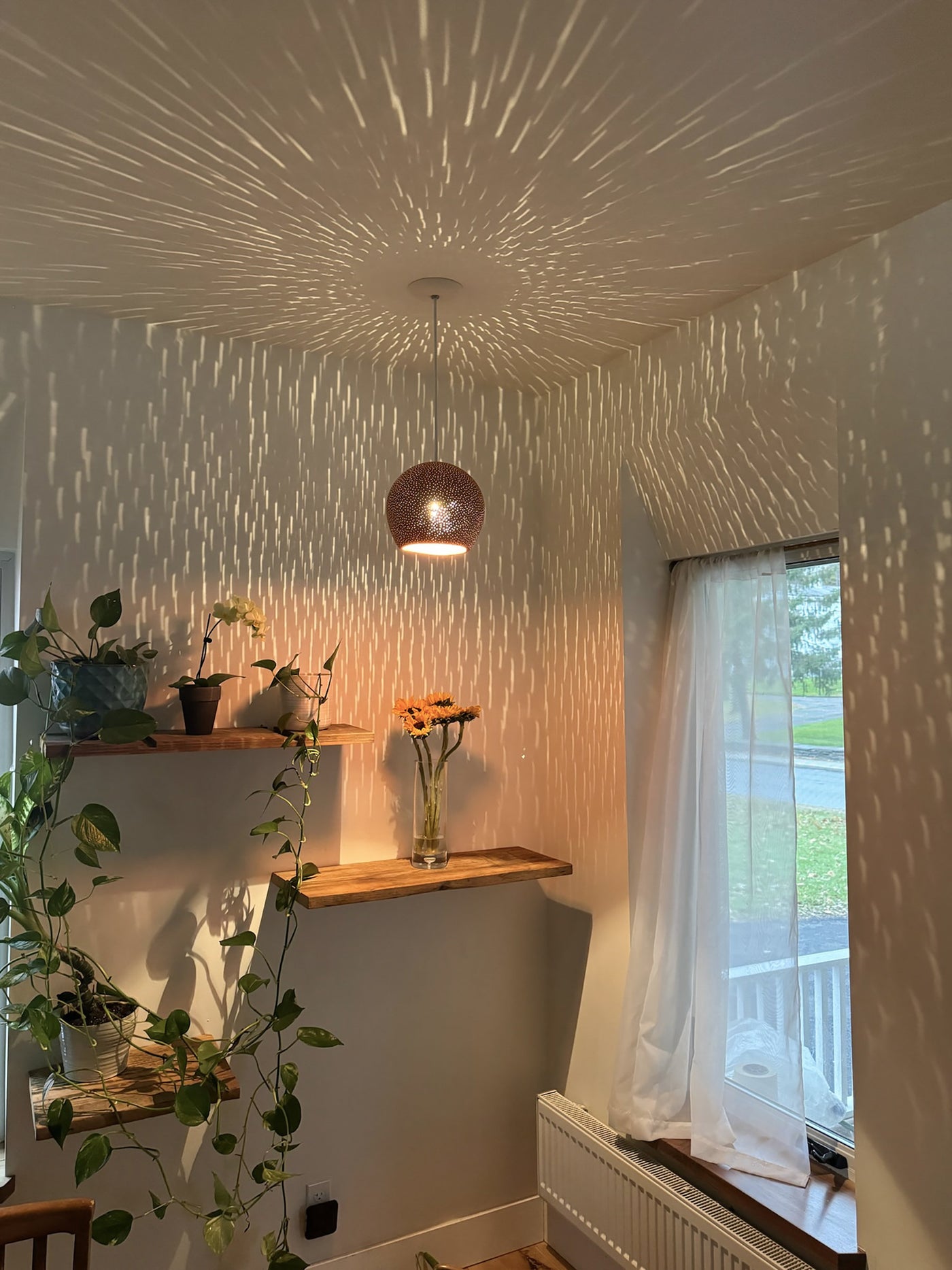 ClayLight Terracotta