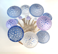 Fairy Ring